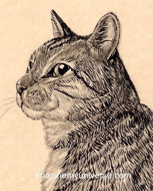 I have a series of cat cards I did in ink. This one is special to me because it was a painting of my