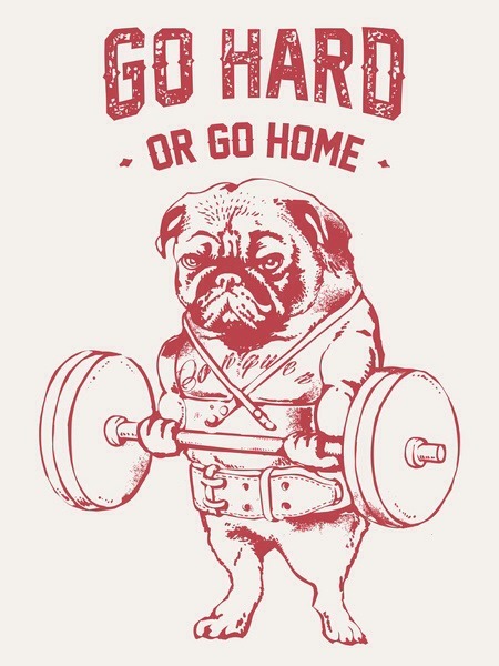 huebucket:  Go Hard Or Go Home Art Print. By Huebucket http://bit.ly/1nF2ZZX   🚀