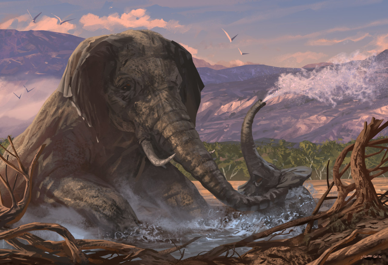 awesomedigitalart:  Anthony Wolff site - facebook - deviantart