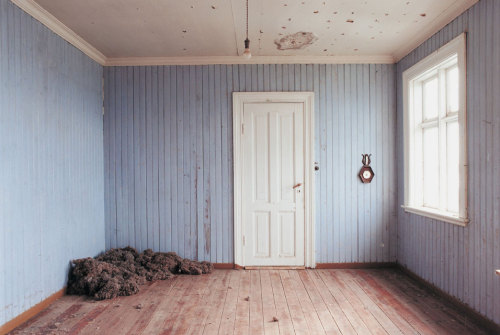 fart21: Roni Horn, Pi (Detail), 1998 