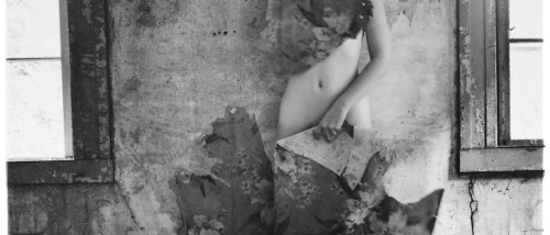 universitybookstore: Francesca Woodman (April adult photos