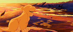 beyonceknowless:The past can hurt. But the way I see it; you can either run from it, or learn from i