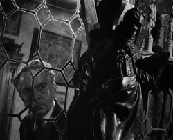 funeral-wreath:  The Third Man (1949) 