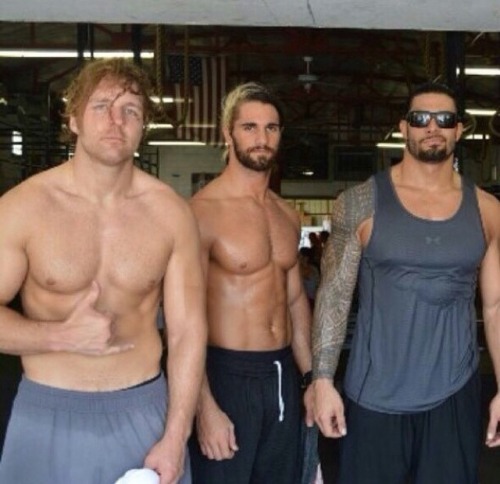 marylovestheshield:  The Shield Spam!! Happy porn pictures