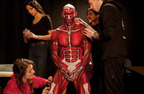 exitinsistexist:  This is Zac. Zac donated his time and body to medical students in Australia. He sat still while they outlined and drew different parts of the human anatomy. He sat still for 18 hours. Once those students were done…the artists took