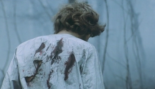 The Devil (Andrzej Żuławski, 1972)