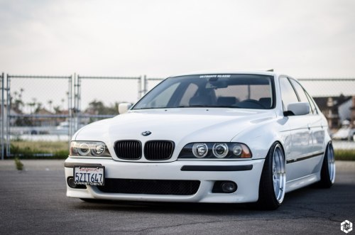 sickest-whips
