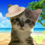 kittyworlz