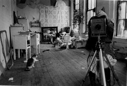 nobrashfestivity: Francesca Woodman more 