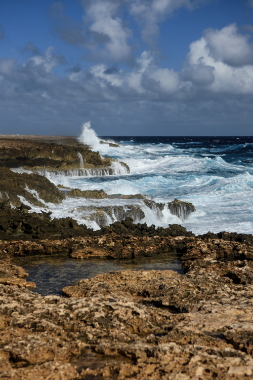 breathtakingdestinations:  Bonaire - Netherlands Antilles (by cliff hellis)  