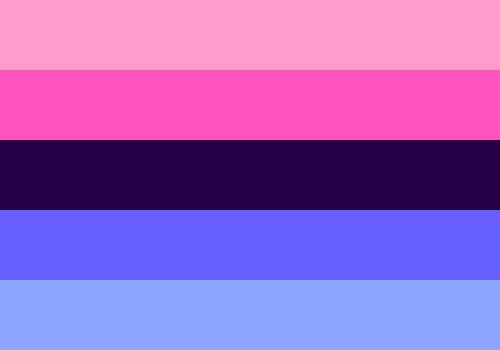My Pronouns Are She/he/them, My Flags Are The Asexual One