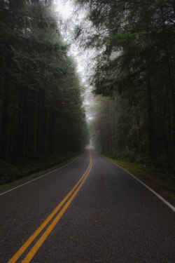 thisnormallife:  Forks, WA  ©thisnormallife