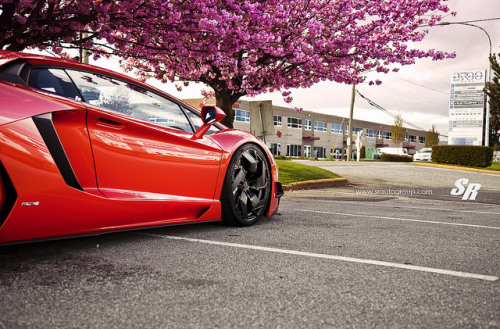 automotivated:  Lamborghini Aventador LP700 PUR RS05.V2 DMC by srautogroup.com on Flickr. 