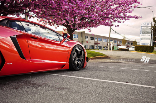 Porn Pics automotivated:  Lamborghini Aventador LP700