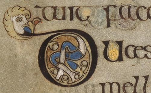 Gospels, MS 58, Trinity College Dublin