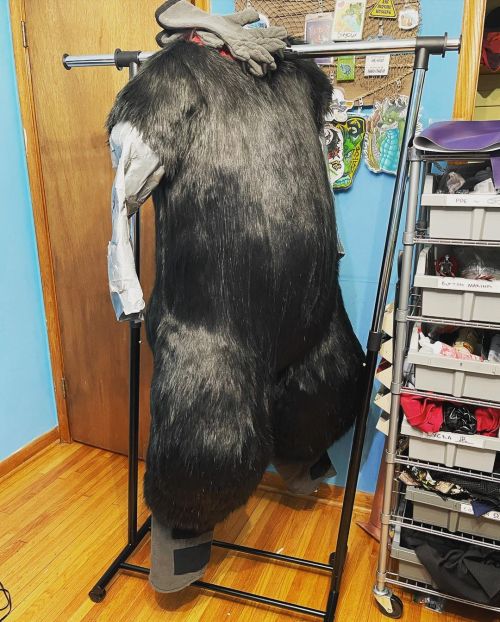 First #fursuit #bodysuit !!! #fursuitmaker #furryfandom #crowfursuit #furry #fursuits #fursuitcommis