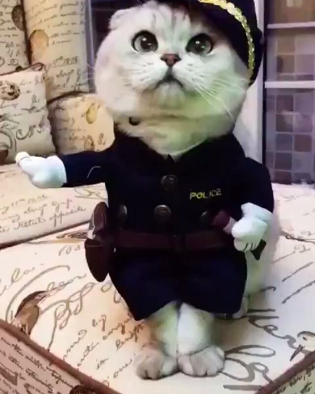 Police