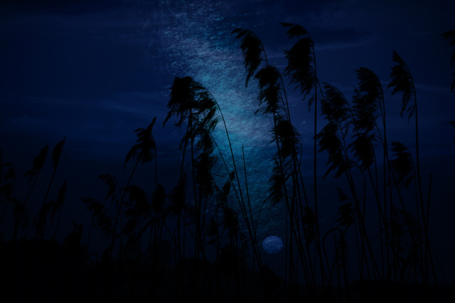 as shadows gather