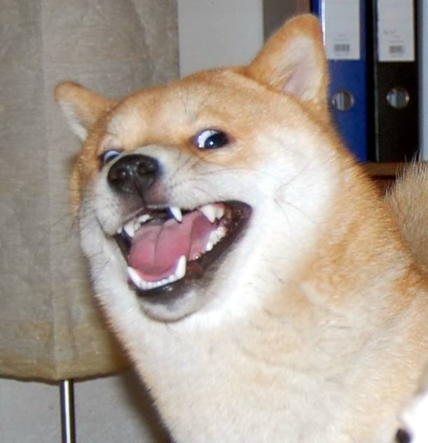 meanplastic:  &ldquo;hey im full. do you want the rest of-&rdquo;  