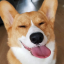 mr-datadog
