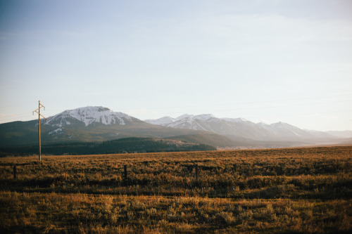 dappermouth:Springtime landscapes in Yellowstone National Park.