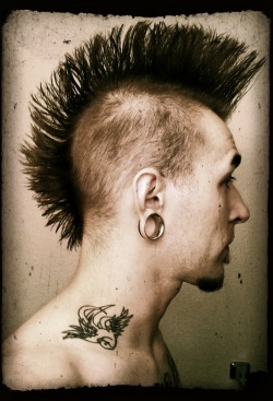 fuck yeah, mohawks!