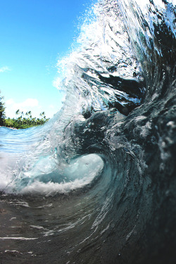 wavemotions:  North Shore