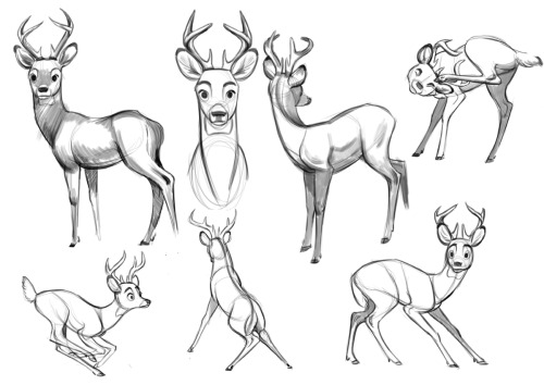 Daily sketch exploring some deer!