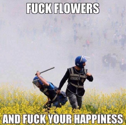 laughhard:how i feel a week before valentine’s day, seeing commercials about ordering flowers