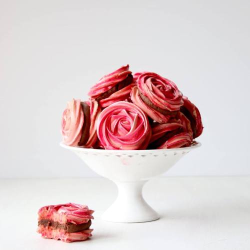 decadentdessertsblog:Rose Meringue Cookies with Chocolate Ganache Filling Recipe from The Scran Line