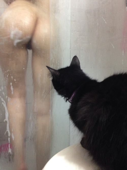 dirtynormajeane:Creepy kitty likes to watch me shower