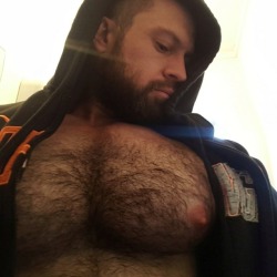 beardburnme: Beast_pup Twitter