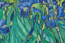  Detail - Irises by Vincent Van Gogh 