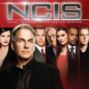 ncis-season-6 avatar