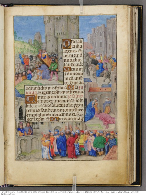 Catholic Church. Book of Hours and Missal : manuscript, [between 1485 and 1490].MS Typ 443.1Houghton