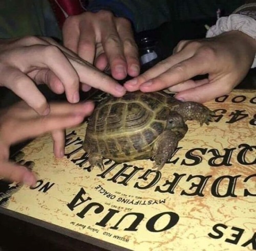 The Signs As Cursed Images