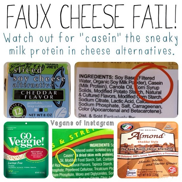 veganpizzafuckyeah:  reblogged from vegansofig:  It annoys the bejesus out of me