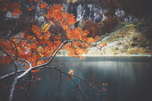 { the lake, the forest, the autumn } adult photos