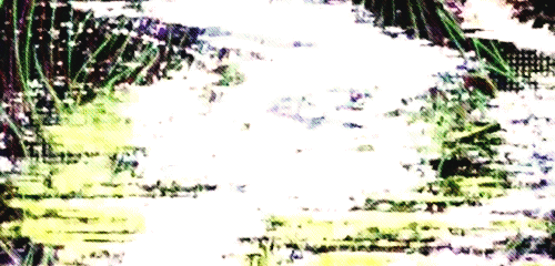 ❥Ͼarpe diem