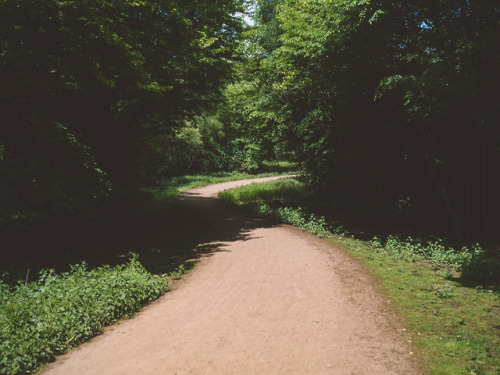 Epping Forest, Essex, England