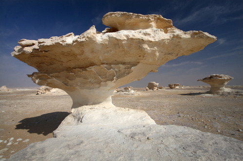 sixpenceee:  The White Desert, Egypt: The adult photos