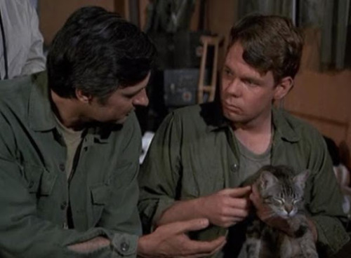 The animals of the 4077 M*A*S*H! Did I forget any? If so, add more to the post. I’d love to see. 