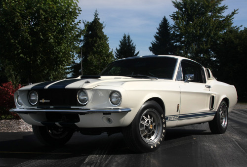 1967 shelby gt500 blue with white stripes