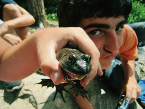 In Algonquin Park. No animals were harmed in the taking of this photograph.