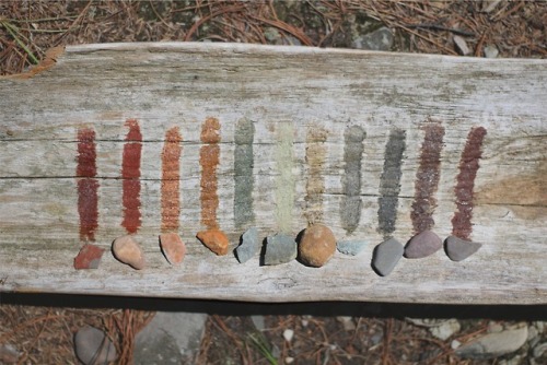 nathanallardart:Drift wood painted with the native color of the landscape