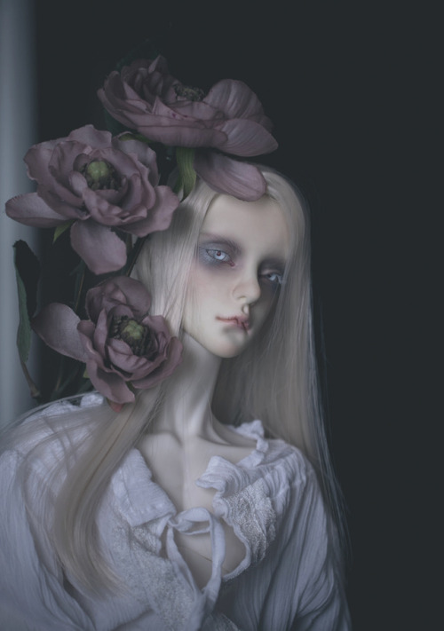 another secret bjd