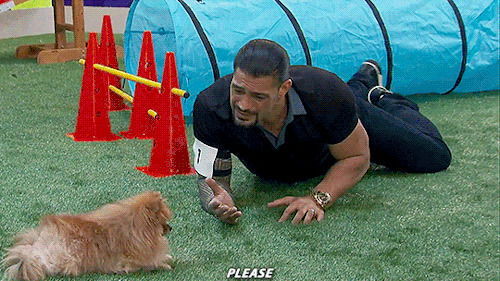 blessedwithgoldens:Me and my dog at agility every week like