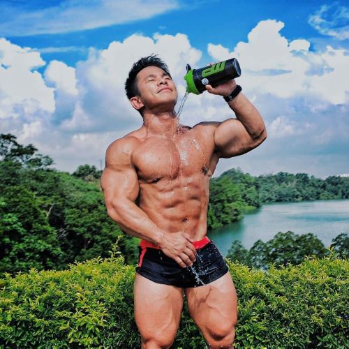 Porn Pics Asian Male Muscle