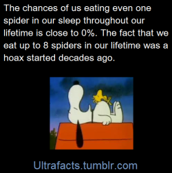 ultrafacts:    In a 1993 PC Professional