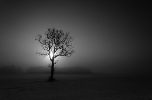 Morning silence on Flickr.
